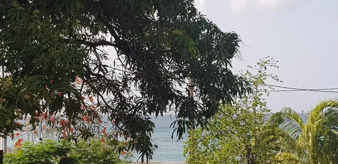 Ti Paillettes Calme vue mer et plage à 50 m Le Diamant Martinique